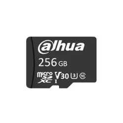 Dahua DHI-TF-D100/256GB